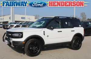 new 2025 FORD