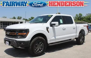 new 2025 FORD