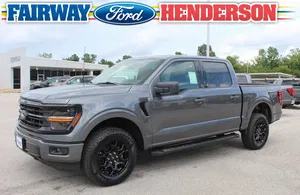 new 2025 FORD