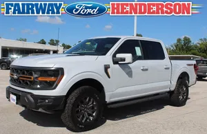 new 2025 FORD