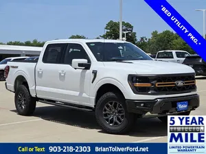 new 2025 FORD