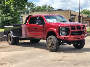 new 2025 FORD
