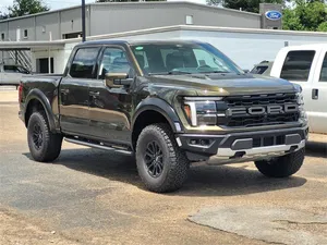 new 2025 FORD