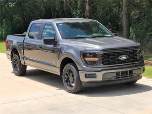 new 2025 FORD