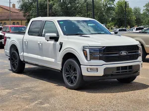 new 2025 FORD
