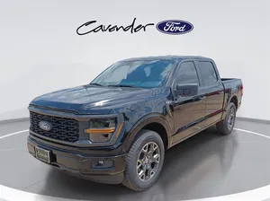 new 2025 FORD