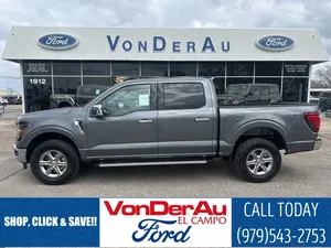 new 2025 FORD