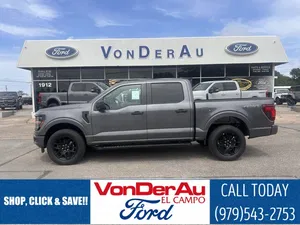 new 2025 FORD