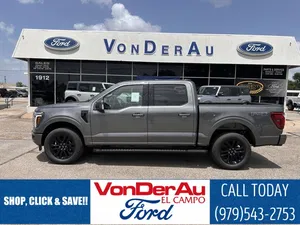 new 2025 FORD