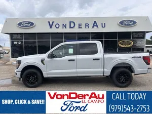new 2025 FORD