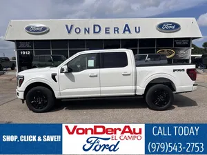 new 2025 FORD