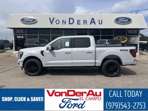 new 2025 FORD