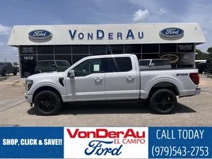 new 2025 FORD