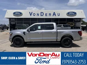 new 2025 FORD