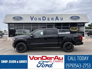 new 2025 FORD