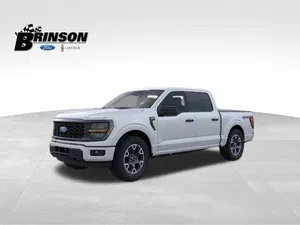 new 2025 FORD