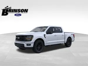 new 2025 FORD