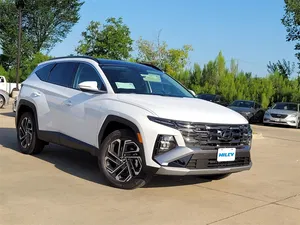 new 2025 HYUNDAI